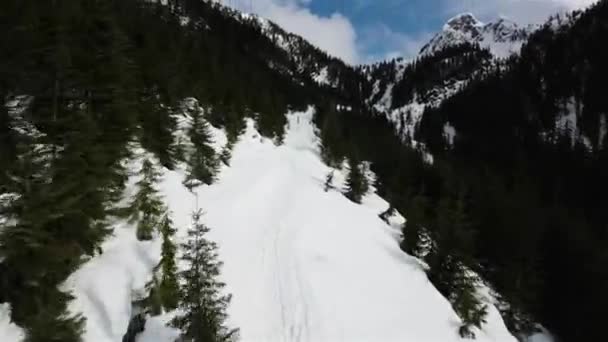 Luftflug Über Der Schneebedeckten Kanadischen Berglandschaft British Columbia Kanada Dynamisches — Stockvideo