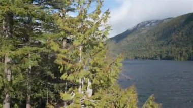 Kanada Dağ Manzarası ve Göl manzarası. Vancouver Adası, British Columbia, Kanada 'da çekilmiş. Doğa Arkaplanı