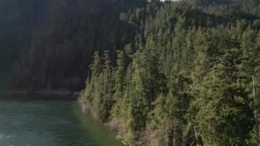 Kanada Dağ Manzarası ve Göl manzarası. Vancouver Adası, British Columbia, Kanada 'da çekilmiş. Doğa Arkaplanı