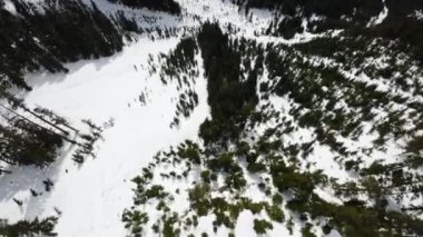 Kanada 'nın karla kaplı dağ manzarasının üzerinde uçan hava. British Columbia, Kanada. Dinamik Sinema