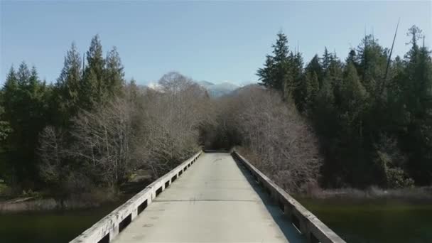 Вид Воздуха Мост Через Реку Канадский Горный Ландшафт Снято Острове — стоковое видео