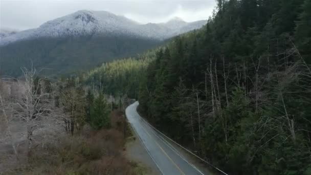 Luchtfoto Van Pacific Rim Hwy Het Canadese Berglandschap Snelweg Naar — Stockvideo