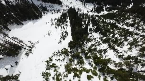 空中飞越覆盖着加拿大高山风景的雪地 不列颠哥伦比亚省 加拿大 动态电影学 — 图库视频影像