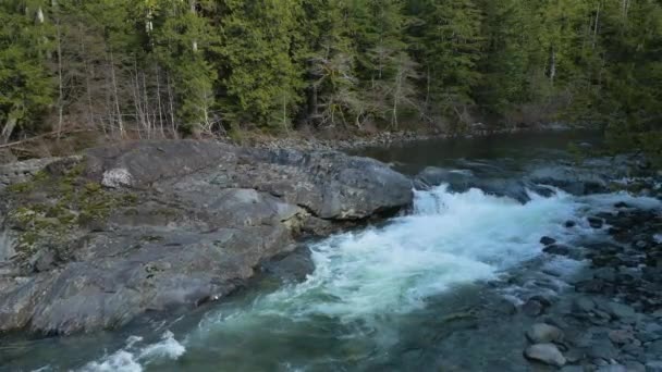 Fresh Water Running River Rocks Taken Vancouver Island British Columbia — Stock Video