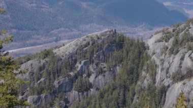 Rocky uçurumları Squamish, BC, Kanada 'daki Chief Mountain' da. Doğa Arkaplanı. Güneşli bir gün. Slow Motion Sinematik Pan