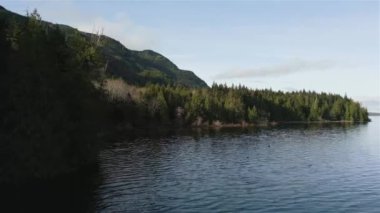 Kanada Dağ Manzarası ve Göl manzarası. Vancouver Adası, British Columbia, Kanada 'da çekilmiş. Doğa Arkaplanı. Sinematik