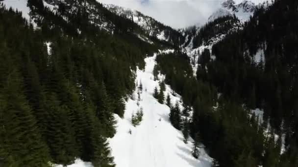 Εναέρια Πτήση Πάνω Από Καλυμμένο Χιόνι Καναδικό Ορεινό Τοπίο Βρετανική — Αρχείο Βίντεο