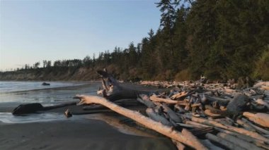 Pasifik Okyanusu 'nun batı kıyısındaki Sandy Beach Sunset' te. Tofino ve Ucluelet yakınlarında, Vancouver Adası, BC, Kanada. Kanada Doğa Arkaplanı. Sinematik