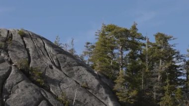Rocky uçurumları Squamish, BC, Kanada 'daki Chief Mountain' da. Doğa Arkaplanı. Güneşli bir gün. Slow Motion Sinematik Pan