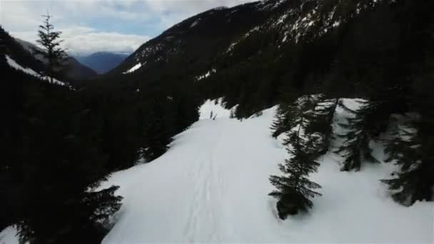 Рейс Над Сніговим Ландшафтом Канадської Гори Британська Колумбія Канада Динамічний — стокове відео