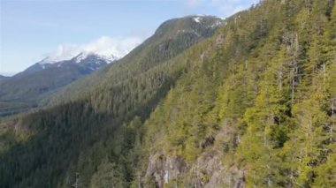 Dağ yamacındaki yeşil ağaçların ve kayalık kayalıkların havadan görünüşü. Güneşli Bahar sezonu. Vancouver Adası, British Columbia, Kanada. Sinematik