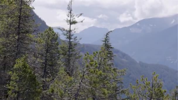Zielone Drzewa Górze Kanadyjski Krajobraz Przyrody Tło Squamish Kolumbia Brytyjska — Wideo stockowe