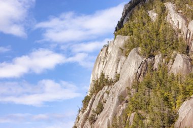 Rocky uçurumları Squamish, BC, Kanada 'daki Chief Mountain' da. Doğa Arkaplanı. Güneşli bir gün.