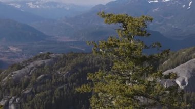 Rocky uçurumları Squamish, BC, Kanada 'daki Chief Mountain' da. Doğa Arkaplanı. Güneşli bir gün. Slow Motion Sinematik Pan