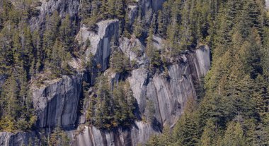 Rocky uçurumları Squamish, BC, Kanada 'daki Chief Mountain' da. Doğa Arkaplanı. Güneşli bir gün.