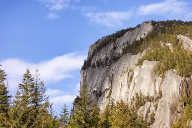 Rocky uçurumları Squamish, BC, Kanada 'daki Chief Mountain' da. Doğa Arkaplanı. Güneşli bir gün.