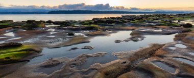 Okyanus kıyısındaki Rocky Shore. Kanada Doğa Arkaplanı. Hornby Adası, British Columbia, Kanada. Günbatımı Gökyüzü