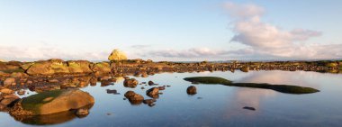 Okyanus kıyısındaki Rocky Shore. Kanada Doğa Arkaplanı. Hornby Adası, British Columbia, Kanada. Günbatımı Gökyüzü