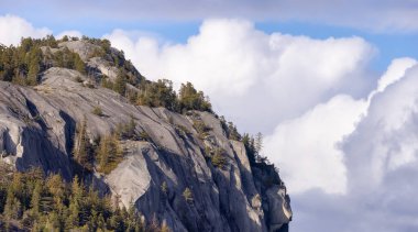 Rocky uçurumları Squamish, BC, Kanada 'daki Chief Mountain' da. Doğa Arkaplanı. Güneşli bir gün.