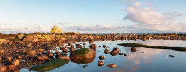 Okyanus kıyısındaki Rocky Shore. Kanada Doğa Arkaplanı. Hornby Adası, British Columbia, Kanada. Günbatımı Gökyüzü