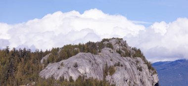 Rocky uçurumları Squamish, BC, Kanada 'daki Chief Mountain' da. Doğa Arkaplanı. Güneşli bir gün.