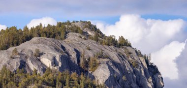 Rocky uçurumları Squamish, BC, Kanada 'daki Chief Mountain' da. Doğa Arkaplanı. Güneşli bir gün.
