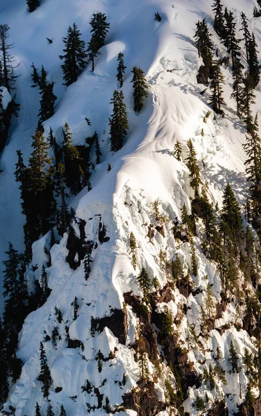 Met Sneeuw Bedekte Bergtoppen Het Canadese Natuurlandschap Luchtfoto Nabij Vancouver — Stockfoto