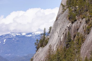 Rocky uçurumları Squamish, BC, Kanada 'daki Chief Mountain' da. Doğa Arkaplanı. Güneşli bir gün.