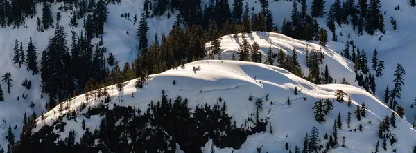 Kanada Doğa Manzarası Nda Karla Kaplanmış Dağ Tepeleri Havadan Vancouver — Stok fotoğraf