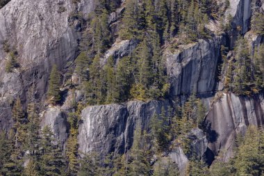 Rocky uçurumları Squamish, BC, Kanada 'daki Chief Mountain' da. Doğa Arkaplanı. Güneşli bir gün.