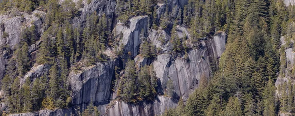 캐나다 퀴머시에 자연의 — 스톡 사진