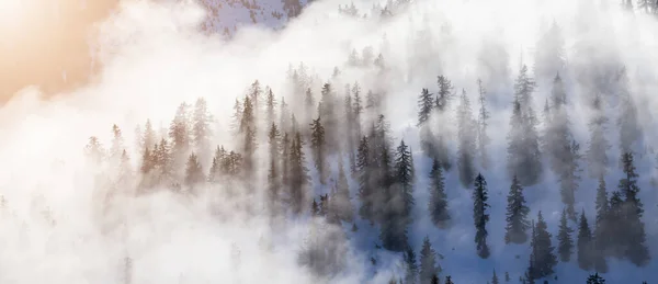 Arbres Verts Sommet Paysage Montagneux Canadien Couvert Nuages Vue Aérienne — Photo