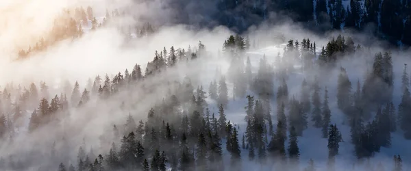 Árvores Verdes Topo Paisagem Montanhosa Canadense Coberta Nuvens Vista Aérea — Fotografia de Stock