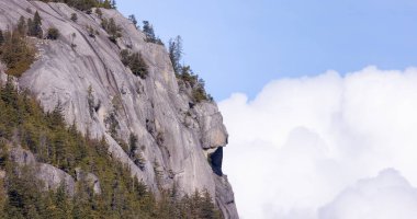 Rocky uçurumları Squamish, BC, Kanada 'daki Chief Mountain' da. Doğa Arkaplanı. Güneşli bir gün.
