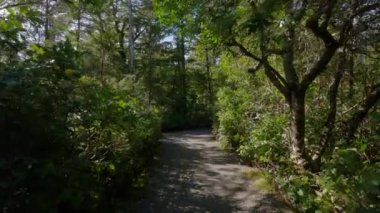 Pasifik Okyanusu 'nun batı kıyısındaki kayalık bir sahilde yürüyüş patikası. Bahar sabahı gökyüzü. Ucluelet, Vancouver Adası, British Columbia, Kanada. Doğa Arkaplanı. Yavaş Sinema Sineması