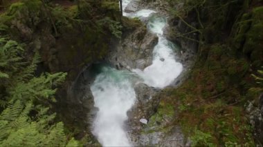 Yeşil Kanada yağmur ormanında şelale. Cascade Falls Mission yakınlarında, Vancouver 'ın doğusunda, British Columbia, Kanada. Yavaş Sinema Sineması.