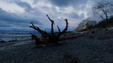 Rocky Sahili ve Pasifik Okyanusu 'nun batı kıyısındaki White Rock İskelesi. Dramatik Bulutlu Günbatımı Gökyüzü. Vancouver, British Columbia, Kanada.