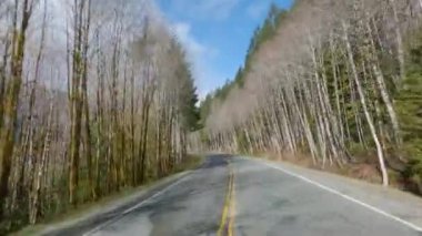 Kanada doğasında Port Alberni 'den Tofino' ya Manzaralı Yol. Pacific Rim Hwy, Vancouver Adası, British Columbia, Kanada.