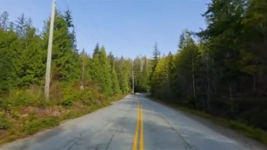 Kanada doğasında Port Alberni 'den Tofino' ya Manzaralı Yol. Pacific Rim Hwy, Vancouver Adası, British Columbia, Kanada.