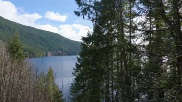 Kanadische Natur Blick Auf Grüne Bäume See Sonniger Frühlingstag Sproat — Stockvideo