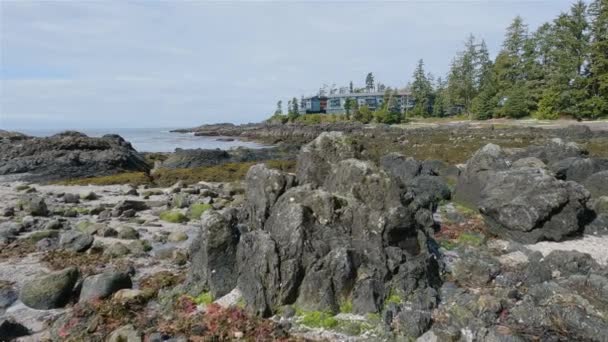 태평양 서해안의 바위투성이 해안에 나무들 바위들 밴쿠버 브리티시컬럼비아주 캐나다 자연의 — 비디오