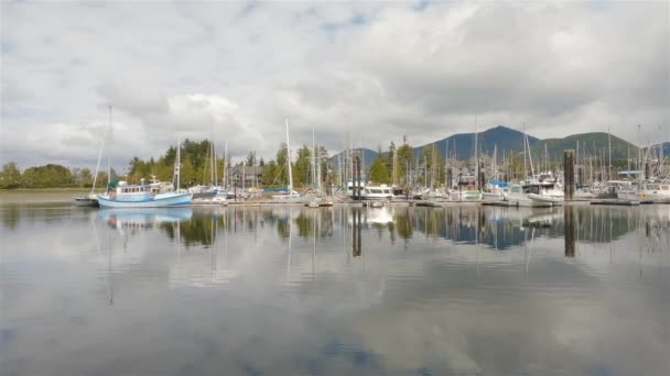 Bateaux Pêche Dans Une Marina Ucluelet Île Vancouver Colombie Britannique — Video