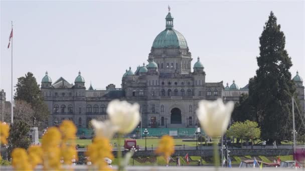 Downtown Victoria Vancouver Island Canadá Mayo 2023 Asamblea Legislativa Columbia — Vídeo de stock