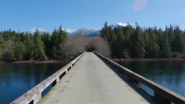 건너는 다리와 캐나다 풍경을 바라본다 캐나다의 브리티시컬럼비아주 밴쿠버 섬에서 자연의 — 비디오