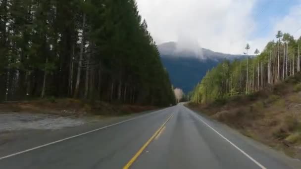 Scenic Road Canadian Nature Van Port Alberni Naar Tofino Pacific — Stockvideo