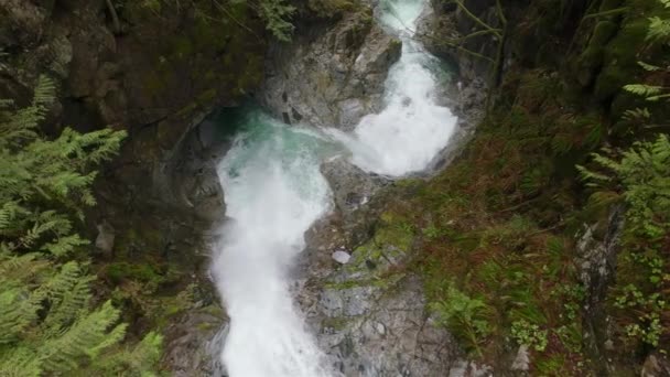 緑のカナダ雨の森の滝 カナダのブリティッシュコロンビア州バンクーバーの東 ミッション近くのカスケード滝 スローモーション シネマティック — ストック動画