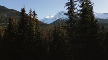 Güneşli gün batımında Kanada Dağ manzarası. Hava sineması. Pemberton ve Lillooet arasında, British Columbia, Kanada.