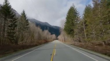 Kanada doğasında Port Alberni 'den Tofino' ya Manzaralı Yol. Pacific Rim Hwy, Vancouver Adası, British Columbia, Kanada.