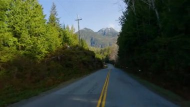 Kanada doğasında Port Alberni 'den Tofino' ya Manzaralı Yol. Pacific Rim Hwy, Vancouver Adası, British Columbia, Kanada.