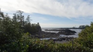 Pasifik Okyanusu 'nun batı kıyısındaki kayalık bir sahilde ağaçlar ve engebeli kayalar. Bahar sabahı gökyüzü. Ucluelet, Vancouver Adası, British Columbia, Kanada. Doğa Arkaplanı. Yavaş Sinema Sineması
